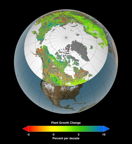 change in vegetation growth per decade in the northern hemisphere change in vegetation growth per decade in the northern hemisphere, Ranga Myneni, pheonology phenological effects of climate change, global warming climate change research, Boston University Department of Earth and Environment