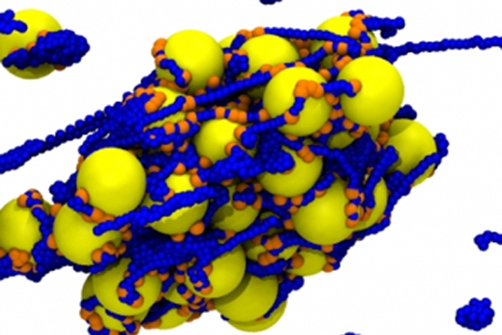Boston University BU, College of Engineering ENG, Matthias Schneider assistant professor of mechanical engineering, Biological Physics Lab, synthetic blood clotting process research, MIT collaboration, polymers and colloids assemblage