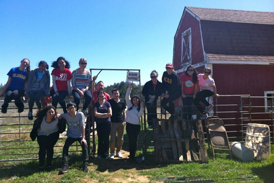 Boston University BU, alternative spring breaks ASB, community service, voluneer, Killeen Texas