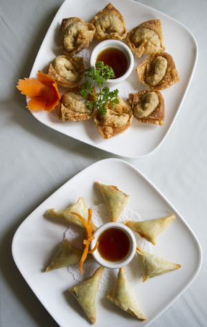 Thai Dish appetizers, Fried Butterflies and Golden Triangles Thai Dish appetizers, Fried Butterflies, Golden Triangles, Places to eat at Boston University BU Charles River campus, asian thai cuisine Kenmore Square, Boston lunch spots, where to eat lunch in Boston