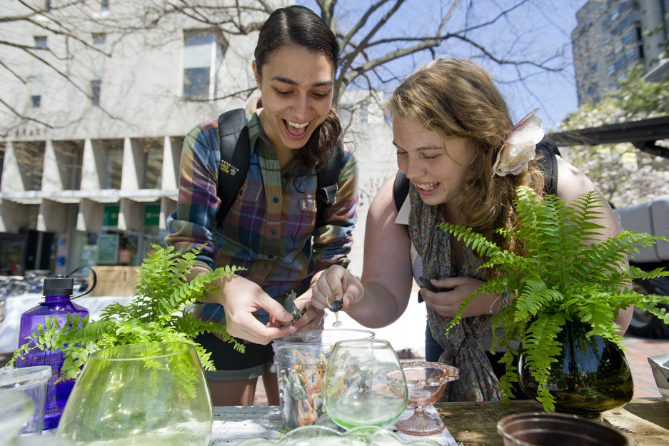 Boston University BU, Sustainability craft fair, Art History Association, Birthday Wishes nonprofit
