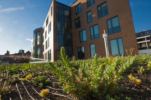Boston University BU Center for Student Services, Green Roof, 100 Bay State Road, sustainability