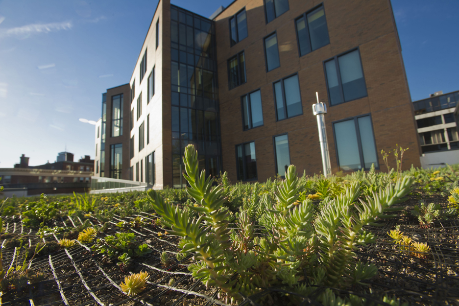 Boston University BU Center for Student Services, Green Roof, 100 Bay State Road, sustainability