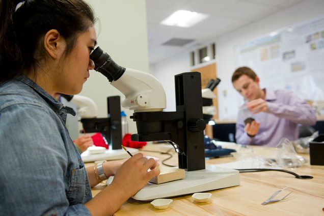 Boston University BU, College of Arts and Sciences, Archaeology and Anthropology Iron Age Seeds from Turkey agriculture