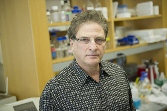 David Farb, School of Medicine professor and chair of the pharmacology and experimental therapeutics Boston University BU, drug use safety, molly extasy MDMA risks, expert David Farb School of Medicine professor and chair of the pharmacology and experimental therapeutics department