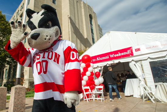 Rhett the Terrier waves at a BU alumni event