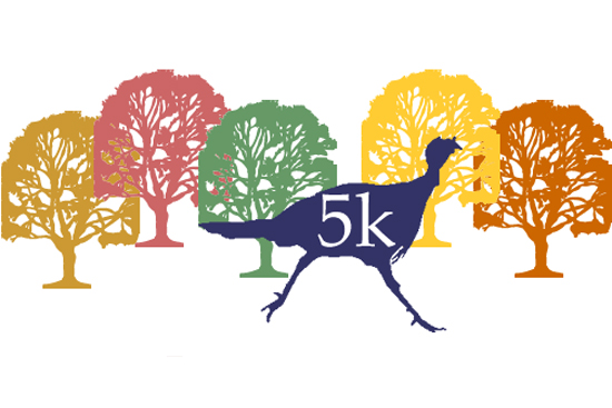 Turkey Trot 5K Boston University BU, things to do in Boston, Faneuil Hall, downtown Boston, holiday activities theatre concerts events, christmas light show