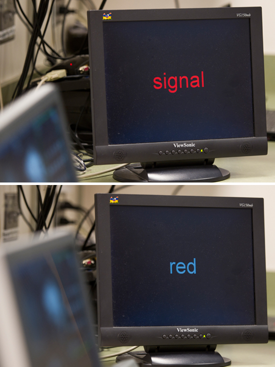 Signal Red Marlene Oscar Berman, Boston University School of Medicine, neurobiology, neurology, neuroscience, alcoholism effects on the human brain, how alcohol effects the brain, alcoholism and gender