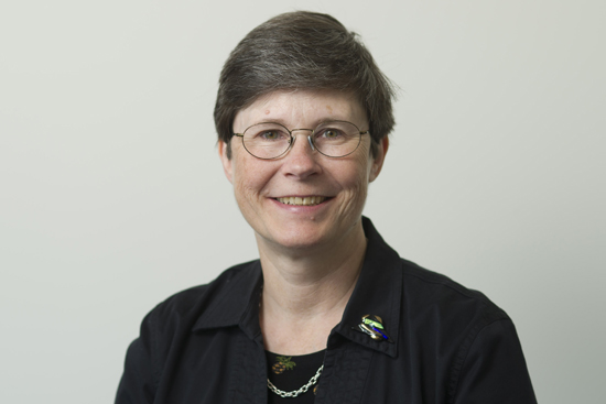 Julie Sandell, associate provost for faculty affairs, Boston University, non-tenure track faculty