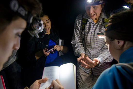 Boston University BU, herpetology, College of Arts and Sciences CAS, biology, Christopher Schneider, Karen Warkentin, Florida, Corkscrew Swamp, Archbold Biological Station, Bird Rookery Swamp, Betsie Rothermel