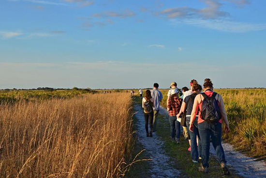 Boston University BU, herpetology, College of Arts and Sciences CAS, biology, Christopher Schneider, Karen Warkentin, Florida, Corkscrew Swamp, Archbold Biological Station, Bird Rookery Swamp, Betsie Rothermel