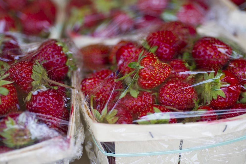 Strawberries from Ward's Berry Farm, Massachusetts, Community Supported Agriculture, CSA