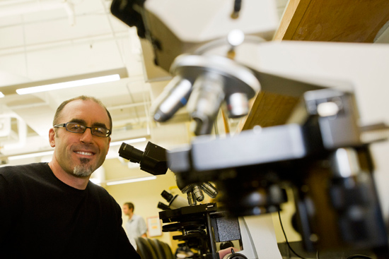 Paul Lipton, professor of neuroscience, Boston University College of Arts and Sciences, CAS, Boston University Undergraduate Research Opportunities Program, UROP, Boston University undergraduate neuroscience program