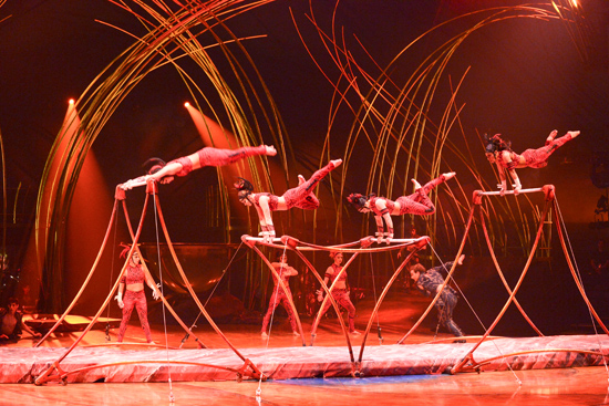 Cirque du Soleil, Amaluna, what to do in Boston, theatre in Boston, Boston nightlife, things to do in Boston