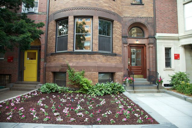 Boston University BU, Bay State Road, brownstone garden