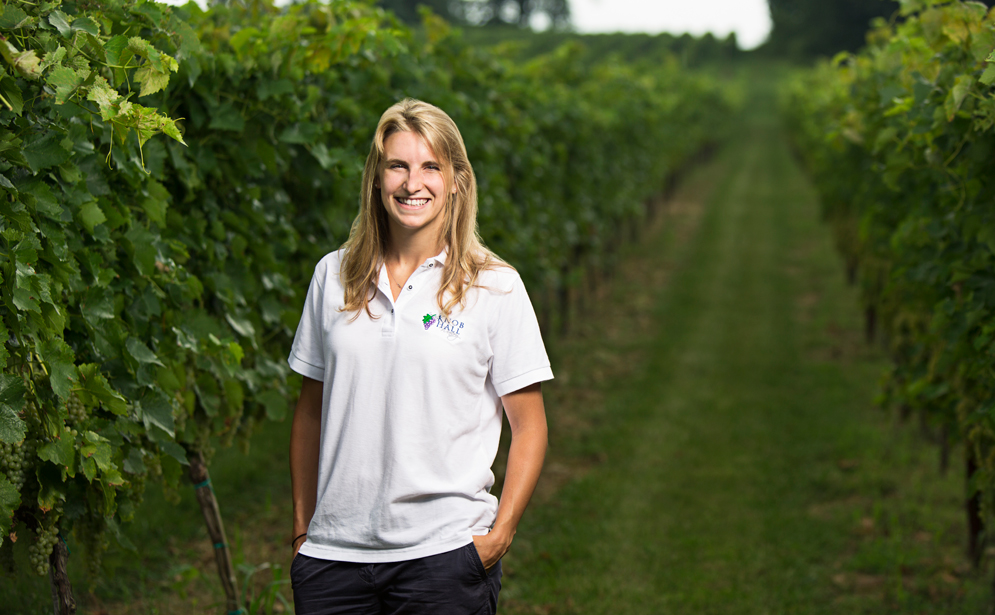 paige seibert, knob hall winery, summer internships