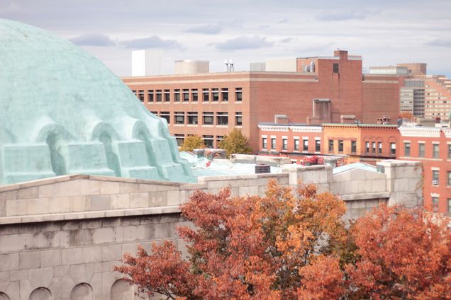 fall foliage, Morse Auditorium