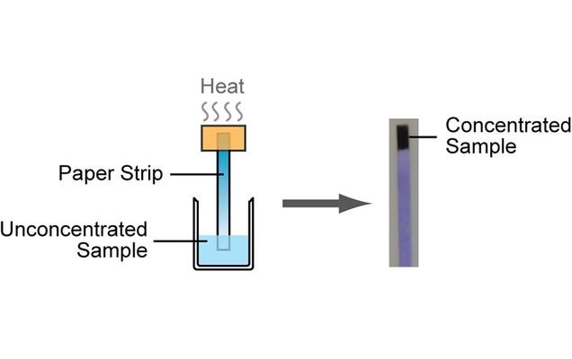 The TB test Sharon Wong is developing would evaporate most of the liquid and concentrate a TB biomarker at the heated portion of the strip, thereby enhancing downstream detection of the biomarker.