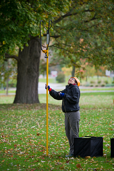 setting ropes for tree climbing