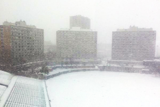 Nickerson Field, Blizzard Juno