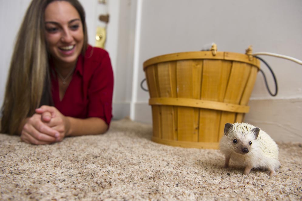 Alyssa Williamson and her pet hedgehog Hunter