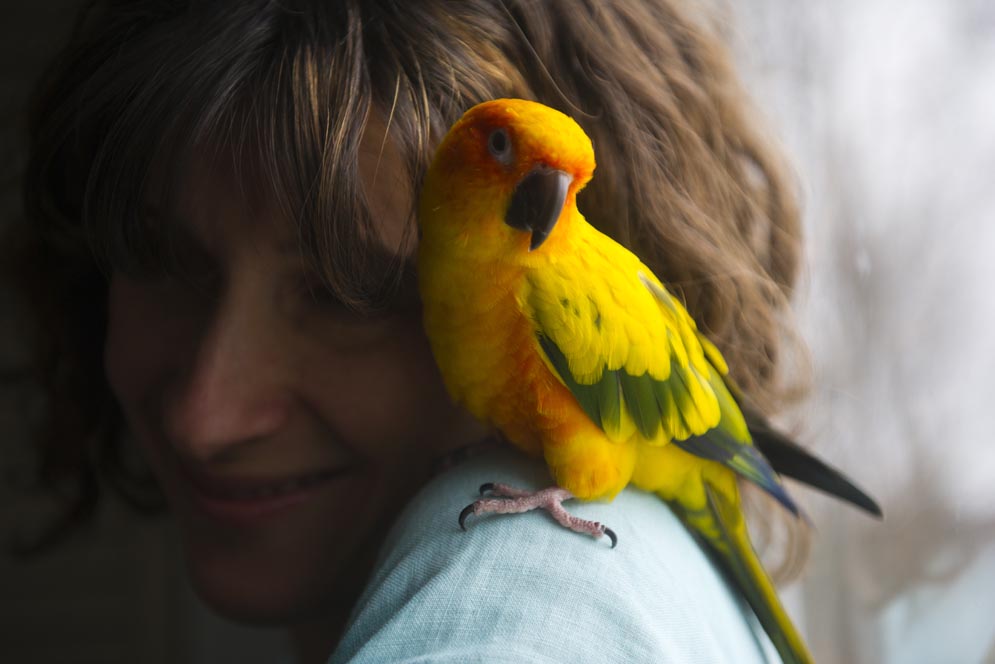 Alya Guseva and her pet Sun Conure bird Persik