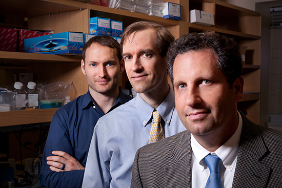 Darrel Kotton, Andrew Wilson, and Finn Hawkins in the Center for Regenerative Medicine's Kotton-Wilson-Ikonomou lab