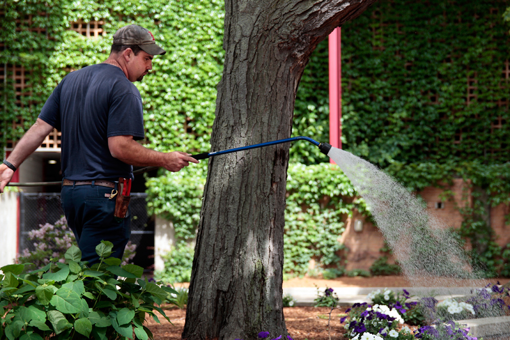 Boston University groundsworker Matt Pereira waters flowers on the BU Charles River Campus