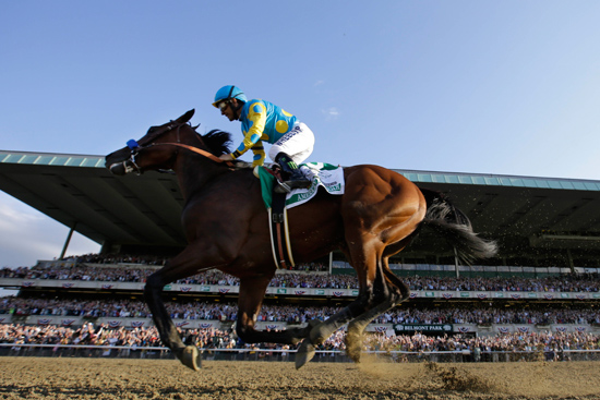 Race horse American Pharoah with jockey Victor Espinoza crosses the finish line to win the Belmont Stakes and Triple Crown