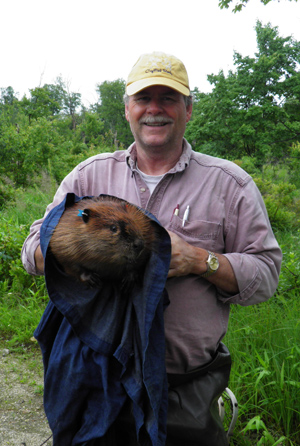 Peter Busher holding a beaver