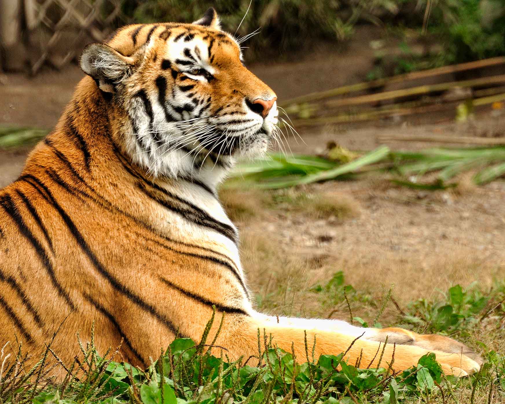 Directions To Franklin Park Zoo Visit The Franklin Park Zoo | Bu Today | Boston University