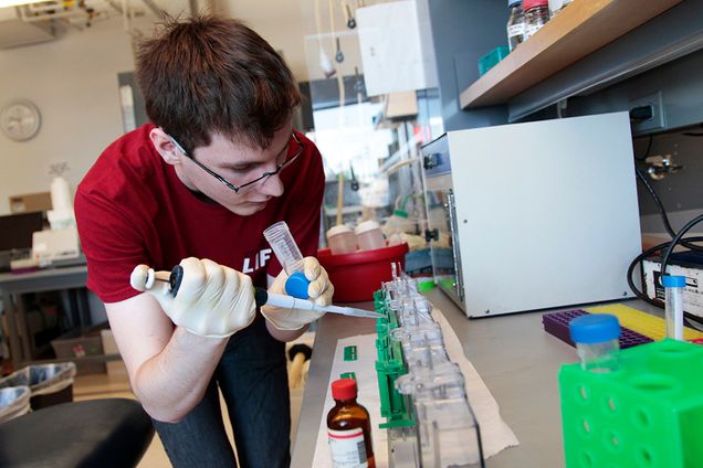 Kevin Rhine (CAS'16) makes protein gels in the Hereditary Fructose Intolerance Laboratory