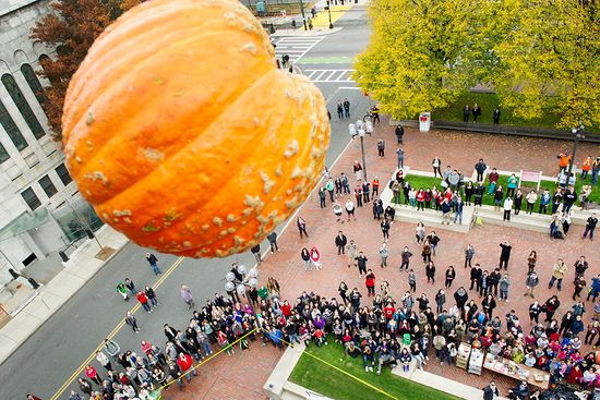 A pumpkin falls from the roof of Metcalf Science Center during the annual "Pumpkin Drop" on Friday October 31, 2014