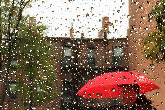 A student walks down Commonwealth Ave on a rainy Wednesday morning, October 21, 2015.   Photo By Jackie Ricciardi
