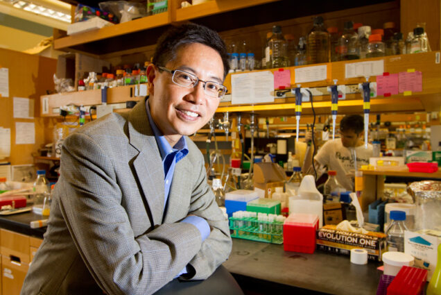 Prof. Christopher Chen (BME). Photo by Chitose Suzuki