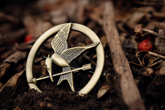 Hunger Games