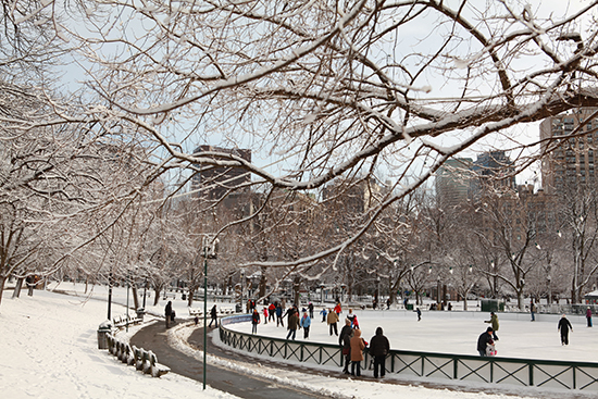 Boston Frog Pond