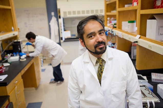 Professor Professor Muhammad Zaman