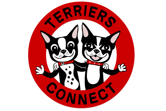 Terriers Connect Boston University