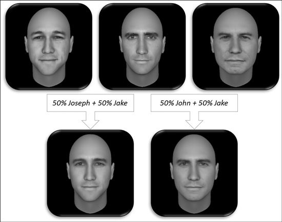 Example of Karin Schon's pattern separation test