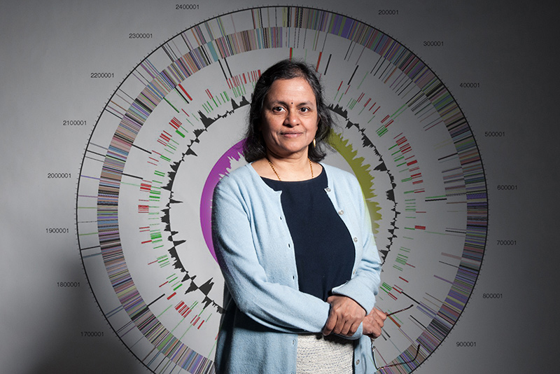 Sudha Seshadri, professor of neurology at Boston University School of Medicine