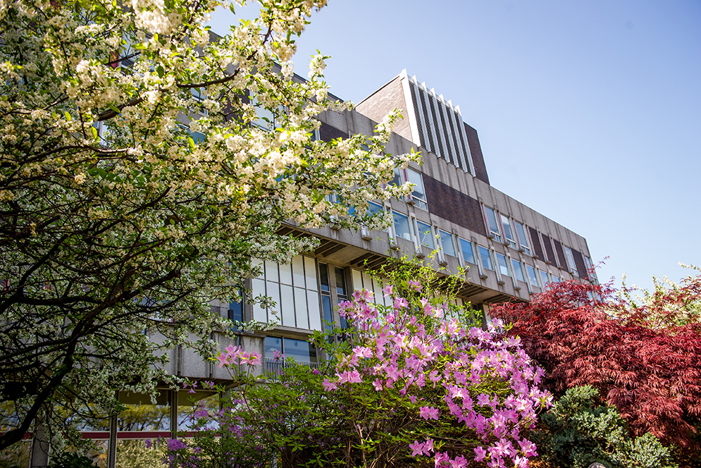Boston University Campus Spring