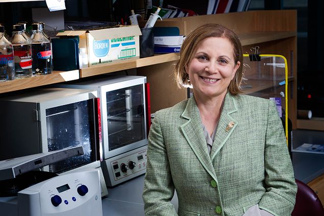 Katya Ravid leads the new University-wide Interdisciplinary Research Initiative. Photo by Jackie Ricciardi
