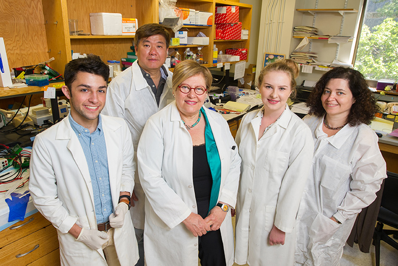 Carmela Abraham with lab assistants in her lab at Boston University School of Medicine