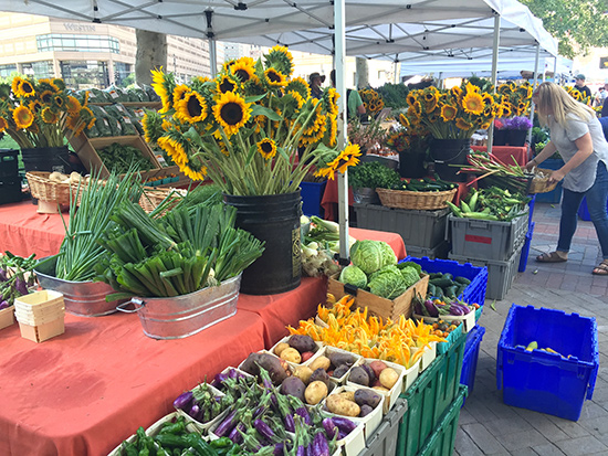 The Copley Square Farmers Market produce
