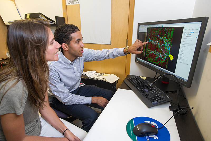 Denston Carey, Jr., an arts and sciences major at West Chester University of Pennsylvania, works with his grad student mentor, Teresa Guillamon-Vivancos, ,as part of the STaRS program at Boston University