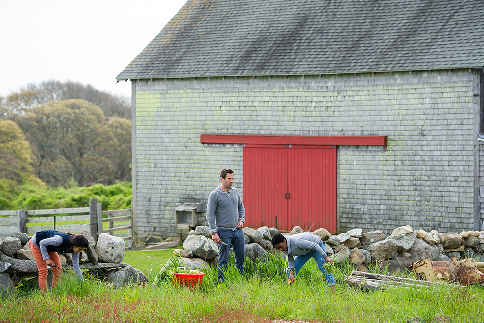 Chris Fischer and Boston University Gastronomy students trim fresh grass to feed the rabbits on Beetlebung Farm