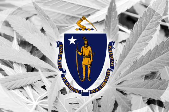 marijuana leaves with Massachusetts state emblem on top