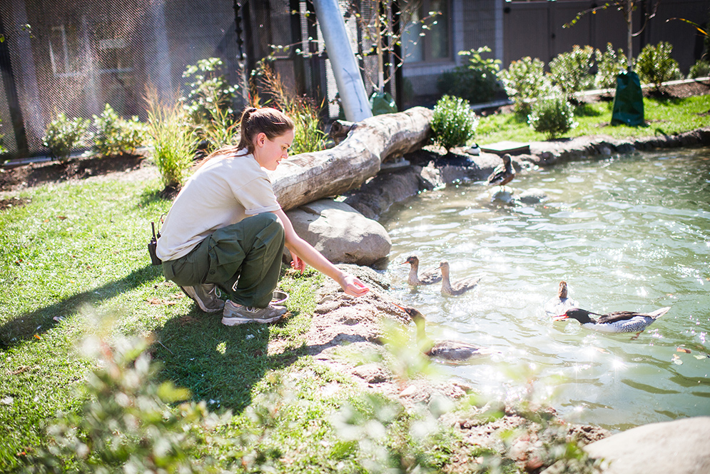 Hannah Keklak feeding ducks