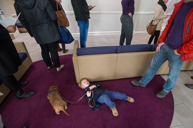 Sergeev family voting